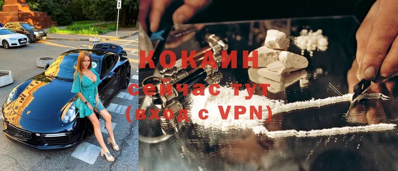 купить закладку  Козьмодемьянск  Cocaine Боливия 